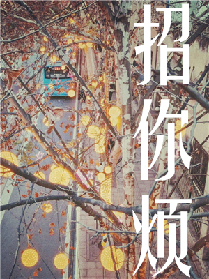 招你烦by初禾全本章节在线阅读